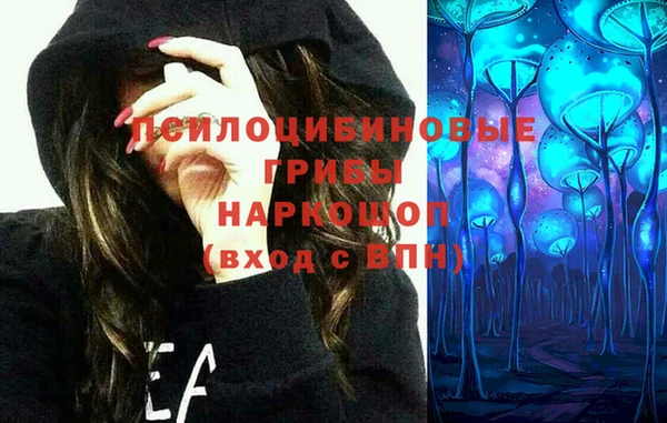 эйфоретик Абинск