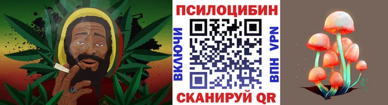 Псилоцибиновые грибы Psilocybe  Ханты-Мансийск 
