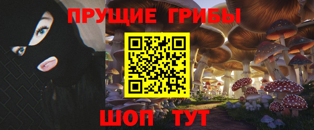 Псилоцибиновые грибы GOLDEN TEACHER Ханты-Мансийск
